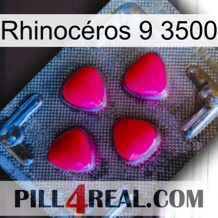 Rhinocéros 9 3500 13